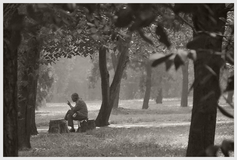 Solitude_resize