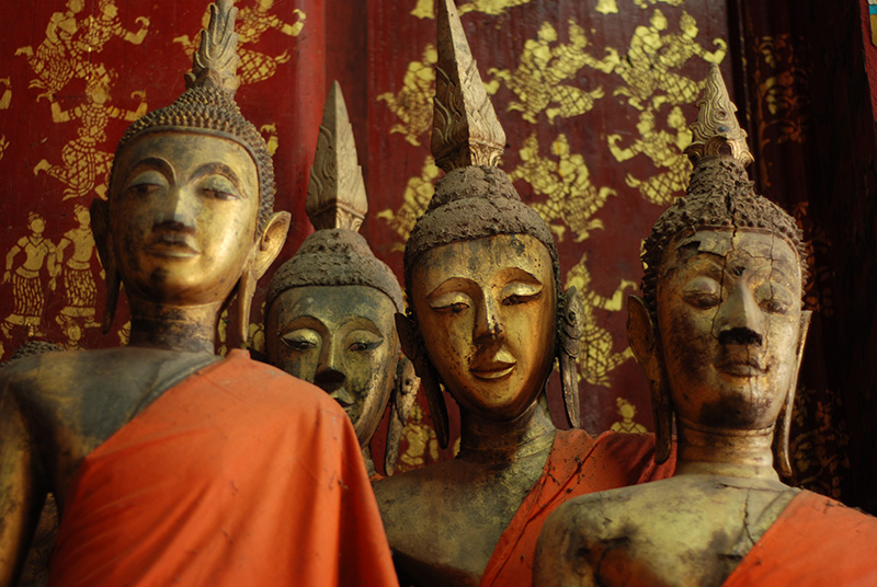 Curious buddhas